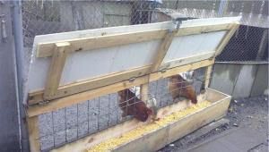Кормушка для кур из канализационной трубы – простое и удобное решение для кормления птицы
